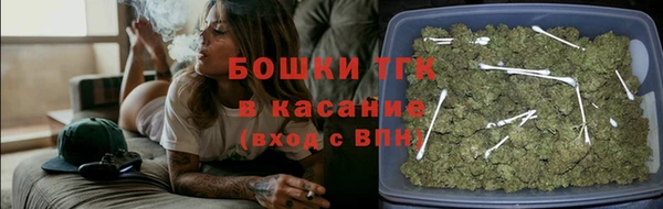 тгк Алексин