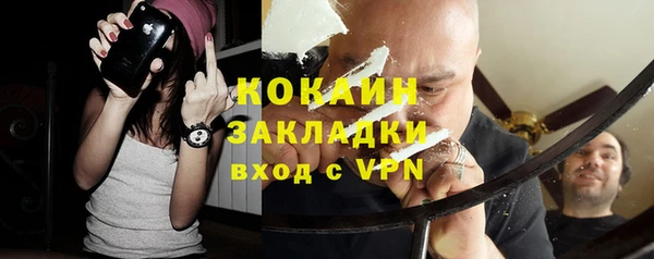 прущий лед Алзамай