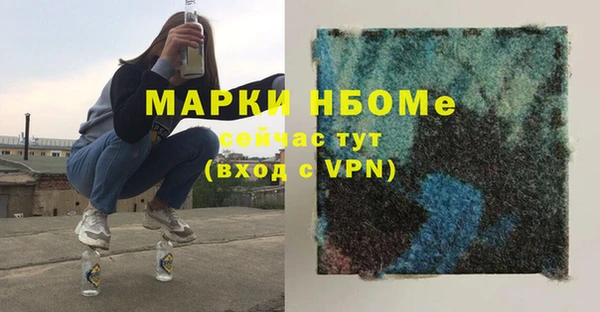 прущий лед Алзамай