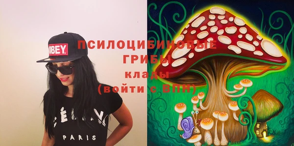 тгк Алексин